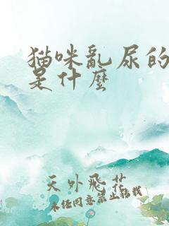 猫咪乱尿的原因是什么