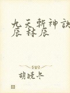 九天斩神诀 林辰 林辰