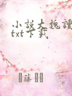 小说大魏读书人txt下载