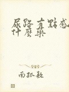 尿路有点感染吃什么药