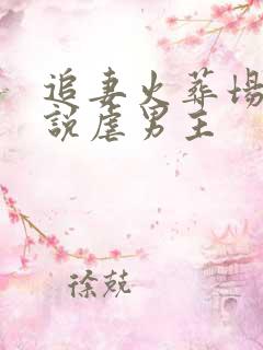 追妻火葬场的小说虐男主