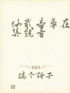 仙武帝尊在线全集观看