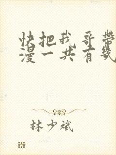 快把我哥带走动漫一共有几季