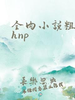 全肉小说粗暴高hnp