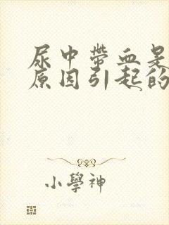 尿中带血是什么原因引起的