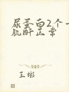 尿蛋白2个十,肌酐正常