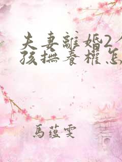 夫妻离婚2个小孩抚养权怎么判