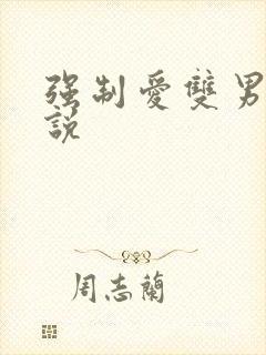 强制爱双男主小说