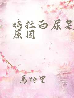 鸡拉白尿是什么原因