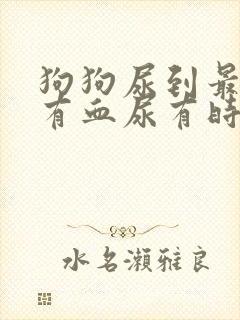 狗狗尿到最后一有血尿有时候又没有