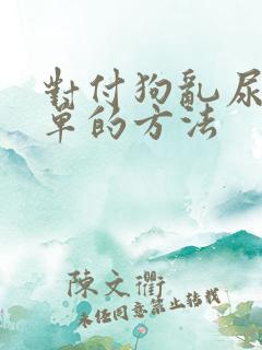 对付狗乱尿最简单的方法