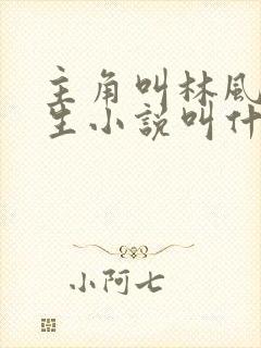 主角叫林风的重生小说叫什么名字