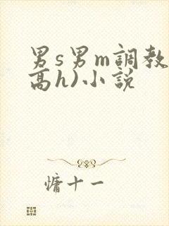 男s男m调教(高h)小说