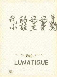 我的妈妈农村人小说免费阅读