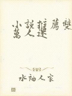 小说推荐双男主万人迷