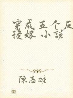 穿成五个反派的后娘 小说