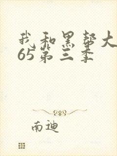 我和黑帮大佬365第三季