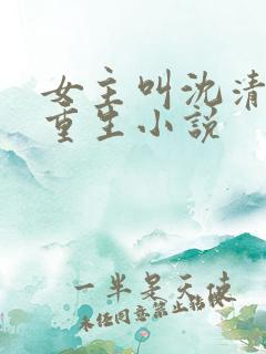 女主叫沈清月的重生小说