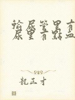 输尿管里有结石尿里有点血