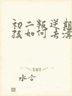 初二叛逆期的男孩如何去沟通