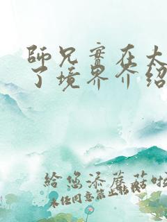 师兄实在太稳健了境界介绍