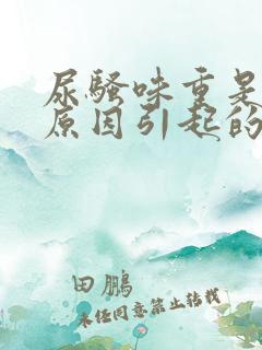 尿骚味重是什么原因引起的