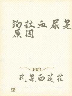 狗拉血尿是什么原因