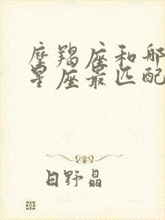 摩羯座和哪一个星座最匹配