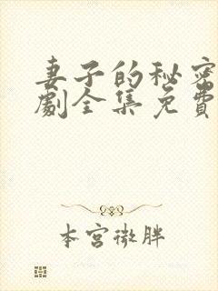 妻子的秘密电视剧全集免费观看人