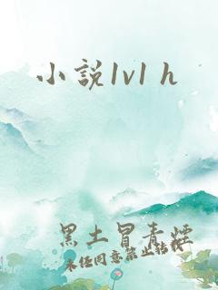 小说1v1 h