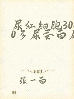 尿红细胞3000多尿蛋白尿隐血3