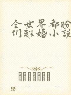 全世界都盼着我们离婚小说看