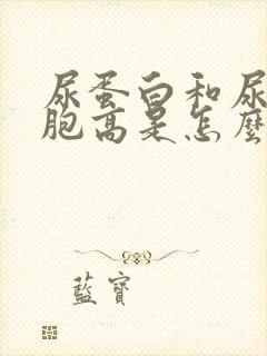 尿蛋白和尿白细胞高是怎么回事