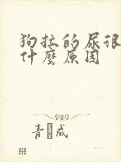 狗拉的尿很黄是什么原因