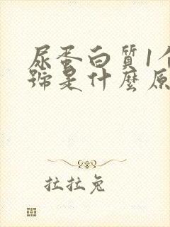 尿蛋白质1个加号是什么原因