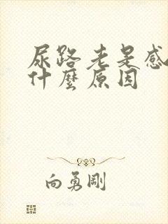 尿路老是感染是什么原因