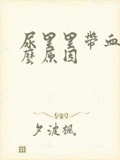 尿里里带血是什么原因