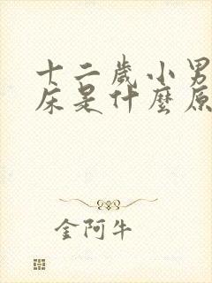 十二岁小男孩尿床是什么原因