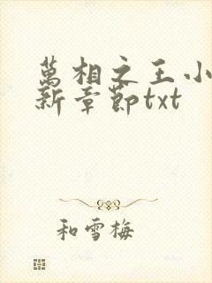 万相之王小说最新章节txt