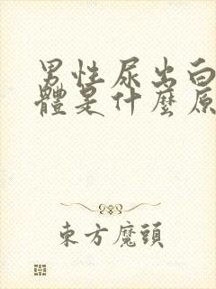 男性尿出白色液体是什么原因