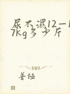 尿不湿12—17kg多少斤