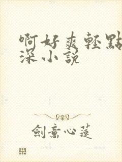 啊好爽轻点嗯插深小说