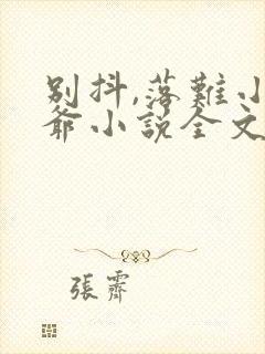 别抖,落难小少爷小说全文免费阅读