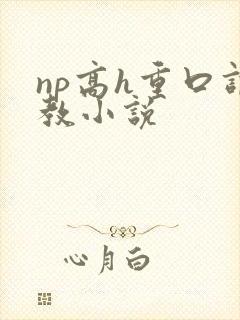 np高h重口调教小说