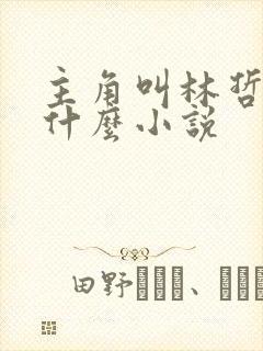 主角叫林哲的是什么小说