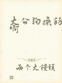 大公狗操的好爽啊