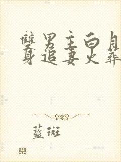 双男主白月光替身追妻火葬场