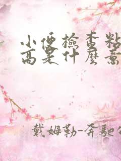 小便检查粘液丝高是什么意思