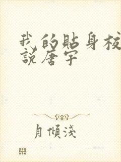 我的贴身校花小说唐宇