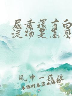 尿黄还有白色沉淀物是怎么回事